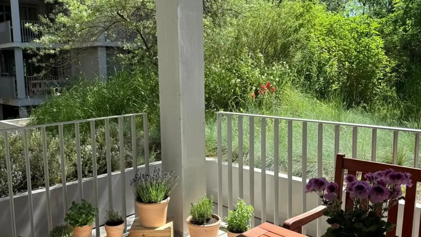 Appartamento in affitto - 8952 Schlieren - Photo 4