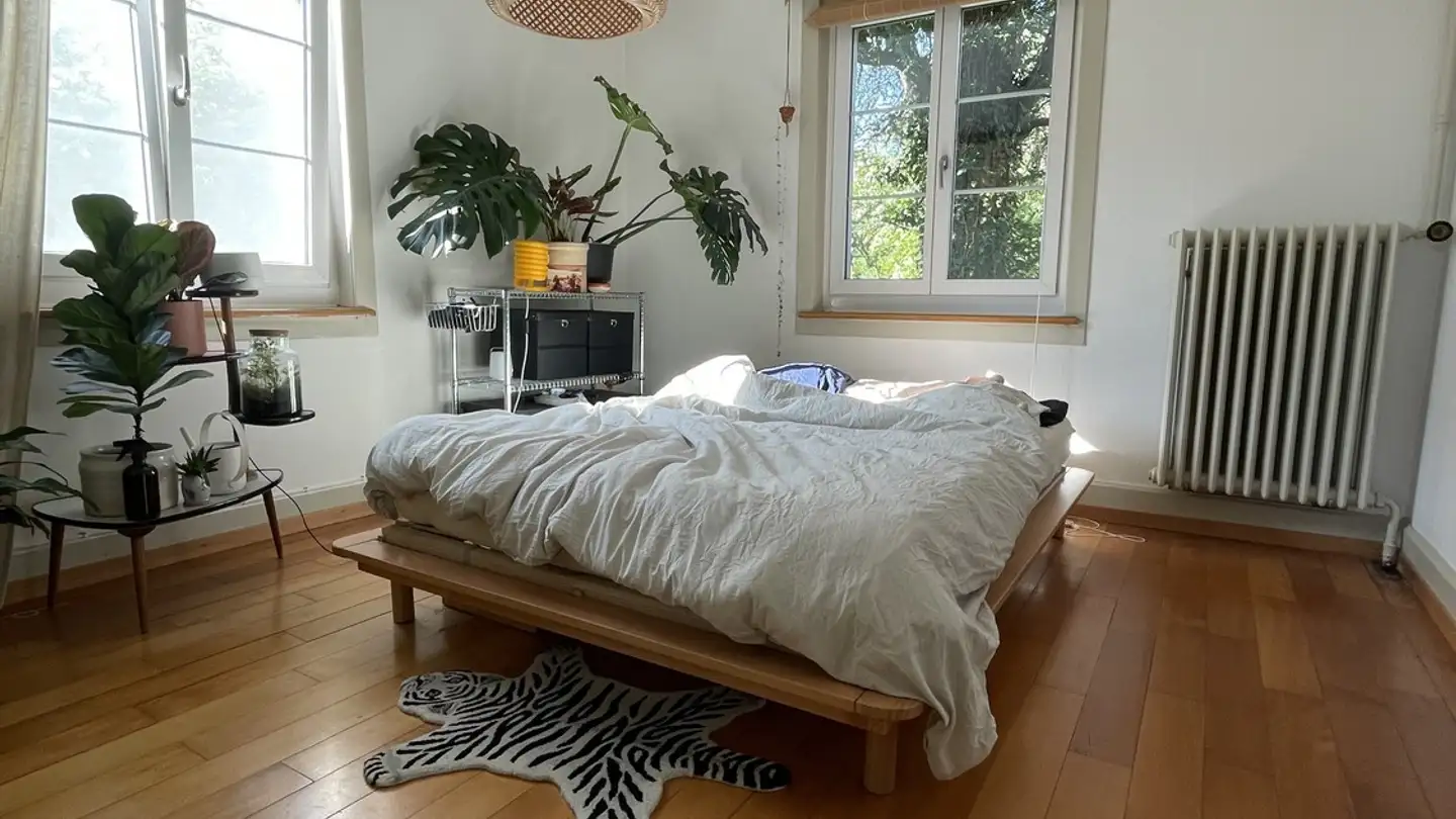 Chambre à louer - Turmstrasse, 8400 Winterthur