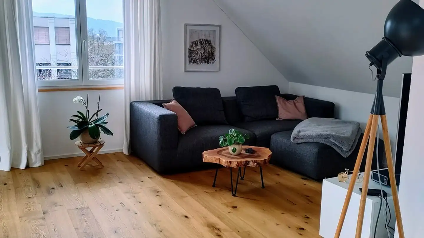 Apartment for rent - Uitikonerstrasse 11, 8952 Schlieren - Photo 2