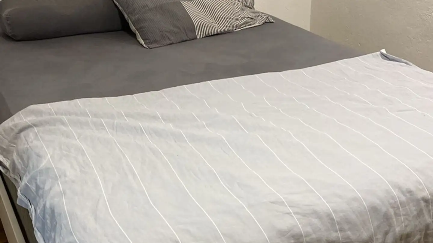 Appartamento in affitto - Risiweg 18, 8810 Horgen - Photo 4