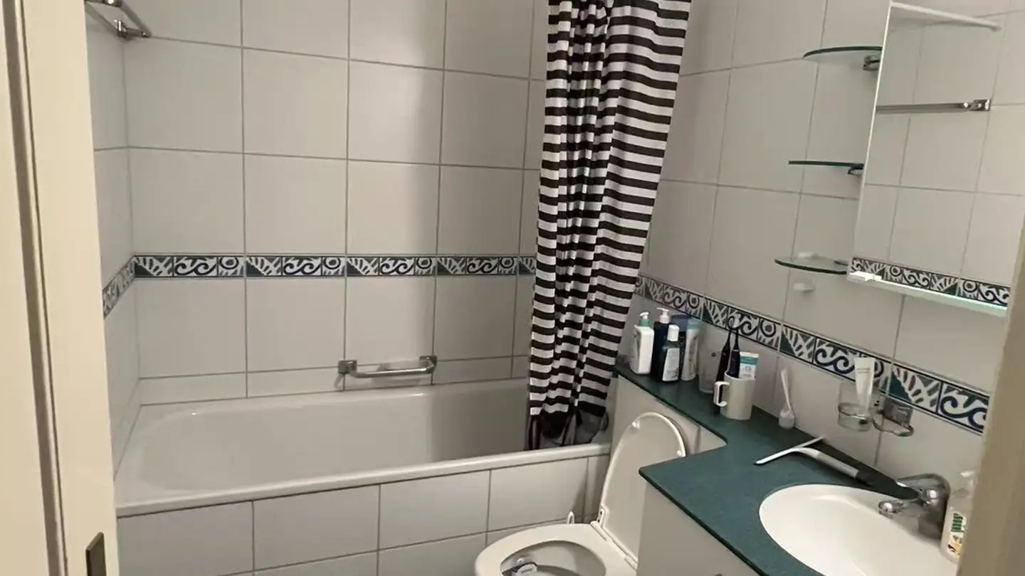 Wohnung mieten - Wehntalerstrasse 500, 8046 Zürich - Foto 2