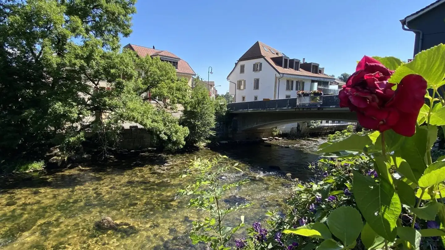 Single house for sale - 2017 Boudry - Photo 3