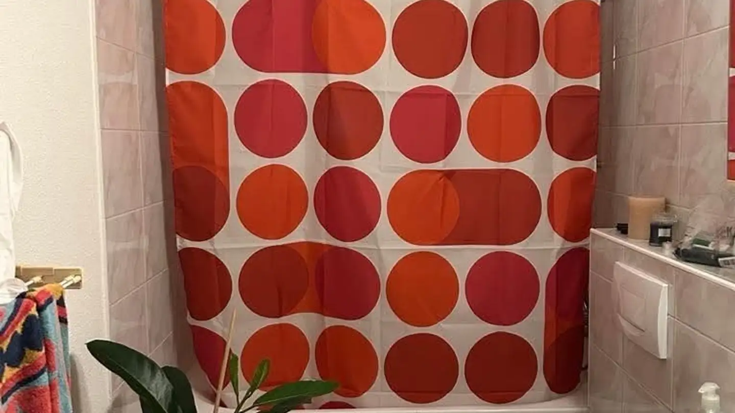 Single room for rent - Seestrasse 309, 8038 Zürich - Photo 4