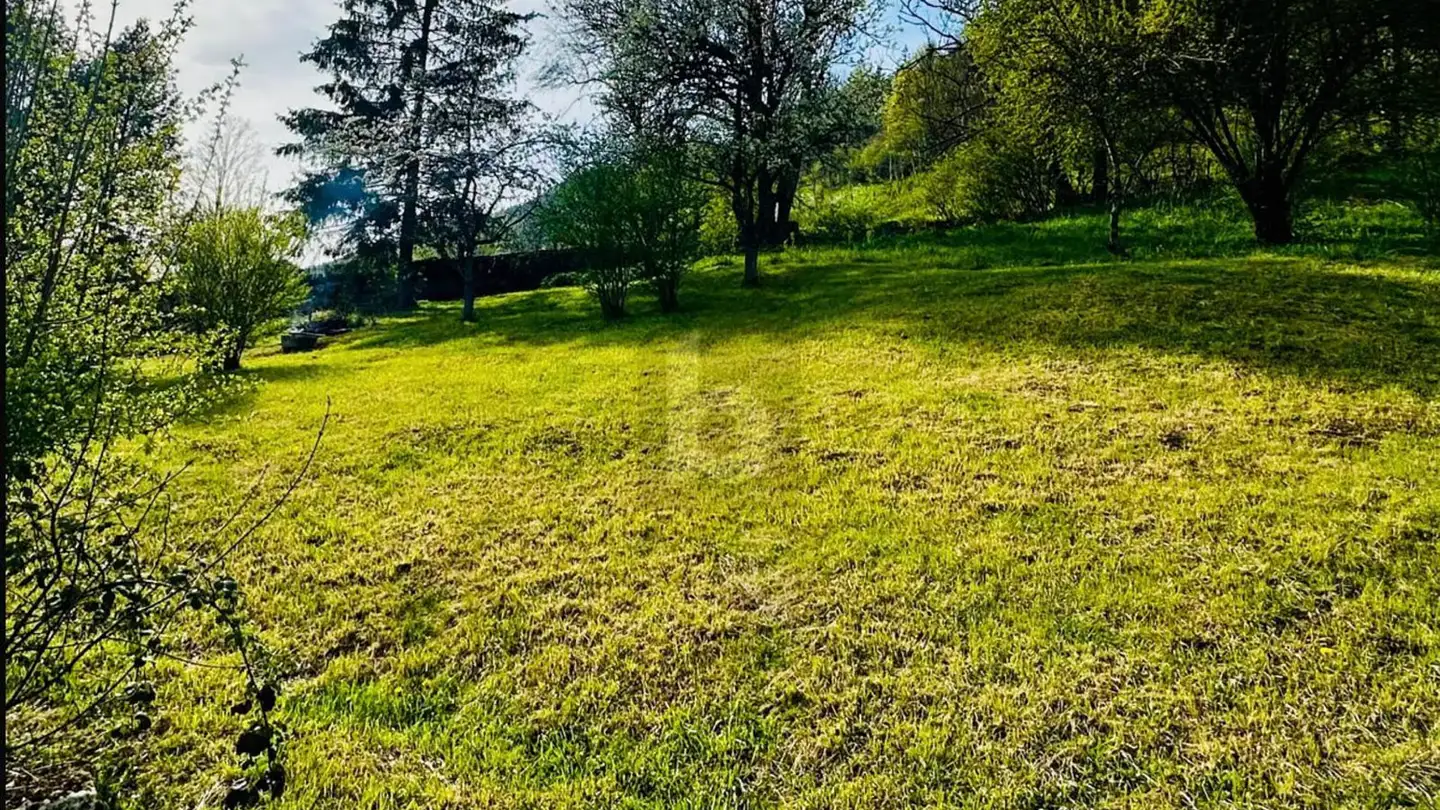 Commercial building plot for sale - 2615 Sonvilier