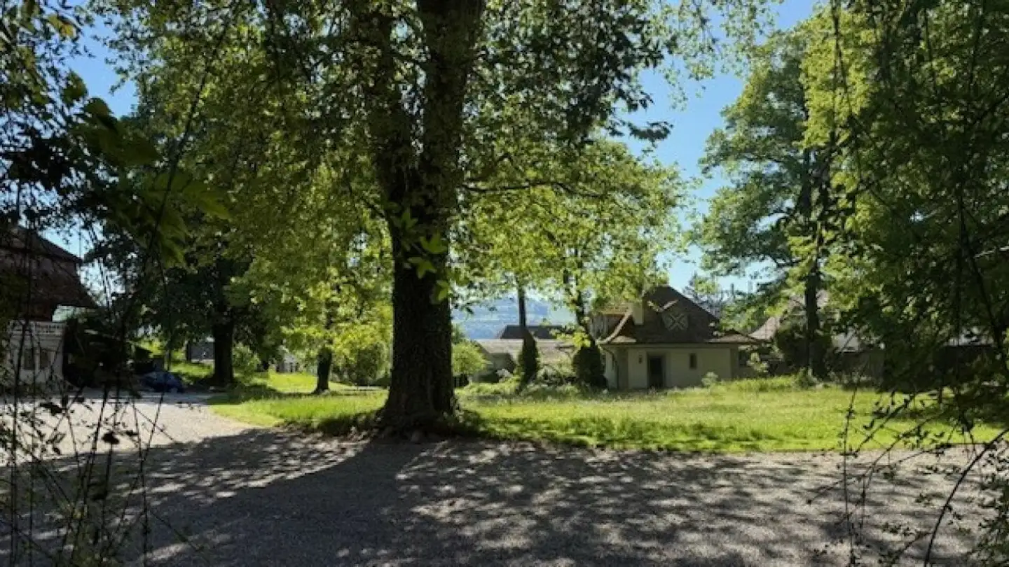 Duplex in affitto - Thunstrasse 99, 3074 Muri b. Bern - Foto 2