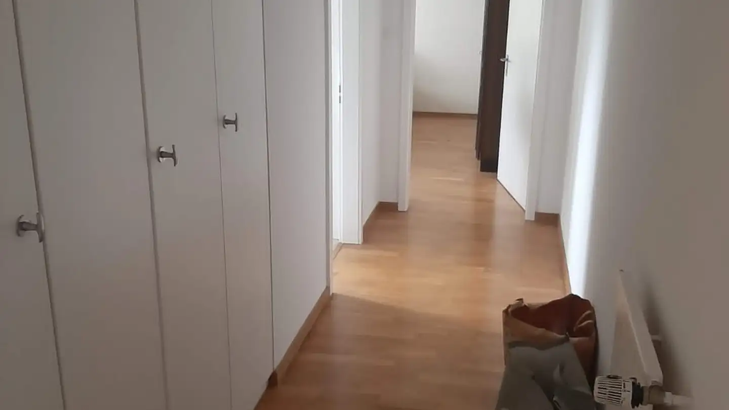 Appartement à louer - Greifenseestrasse 38, 8050 Zürich - Photo 3