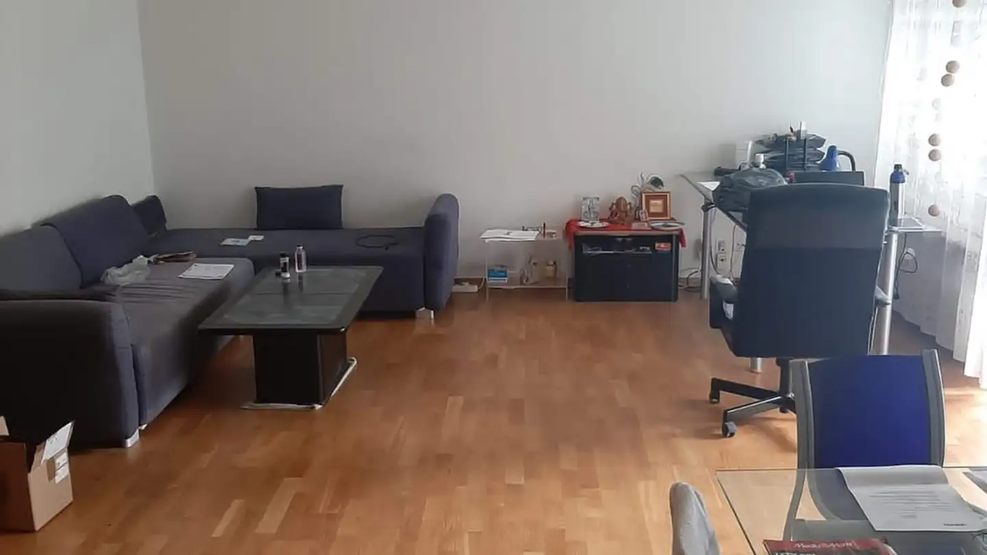 Appartement à louer - Greifenseestrasse 38, 8050 Zürich - Photo 4