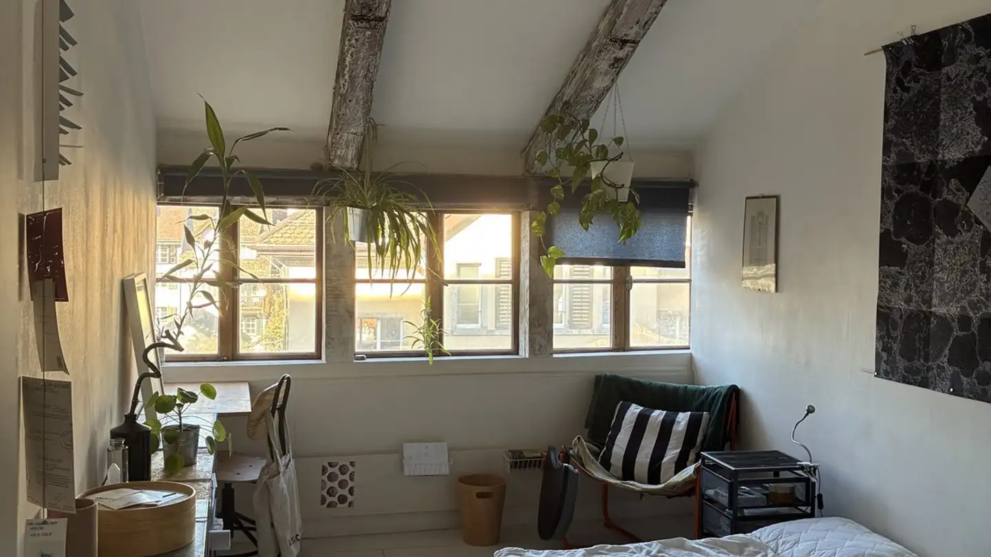 Stanza singola in affitto - 8001 Zürich