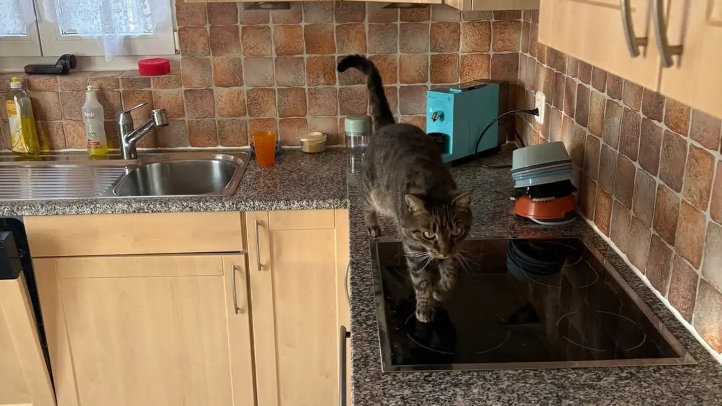 Appartement à louer - Untergasse 19, 4538 Oberbipp - Photo 2