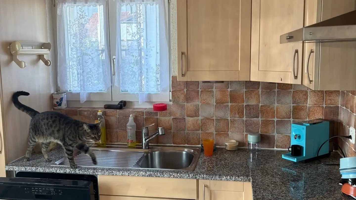 Appartement à louer - Untergasse 19, 4538 Oberbipp - Photo 3