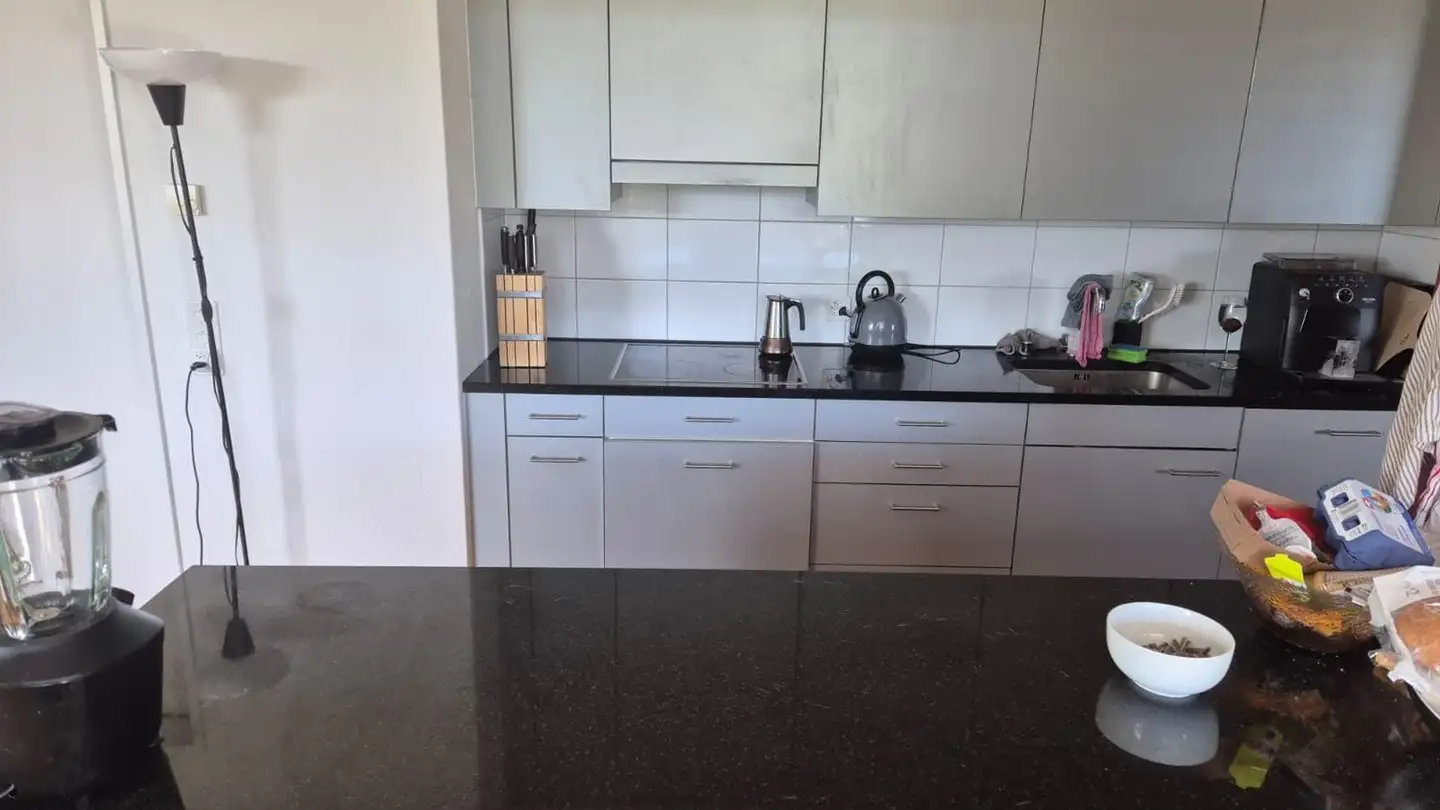 Chambre à louer - Hagenholzstrasse 94, 8050 Zürich - Photo 3