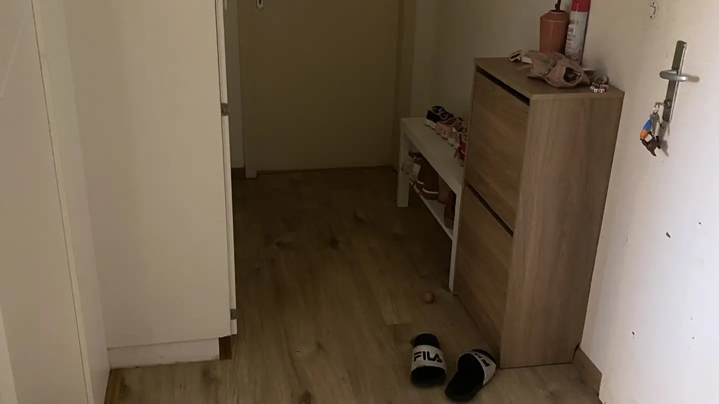 Apartment for rent - Heidenlochstrasse 76, 4410 Liestal - Photo 3