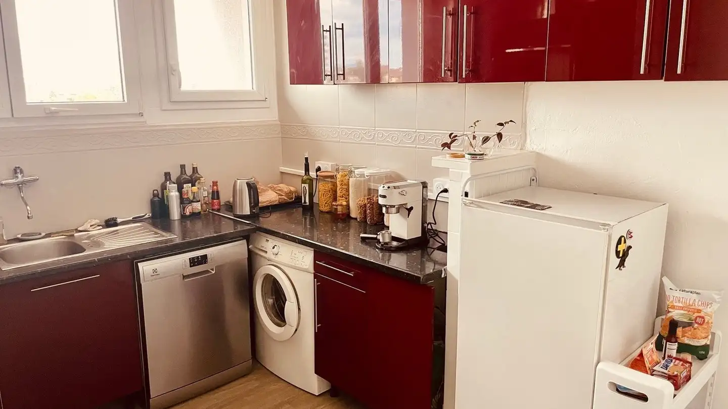 Stanza singola in affitto - 1207 Genève - Foto 2