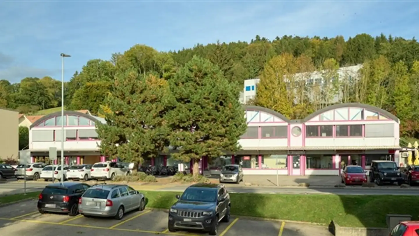 Appartement à louer - Route De Moudon 32, 1670 Ursy