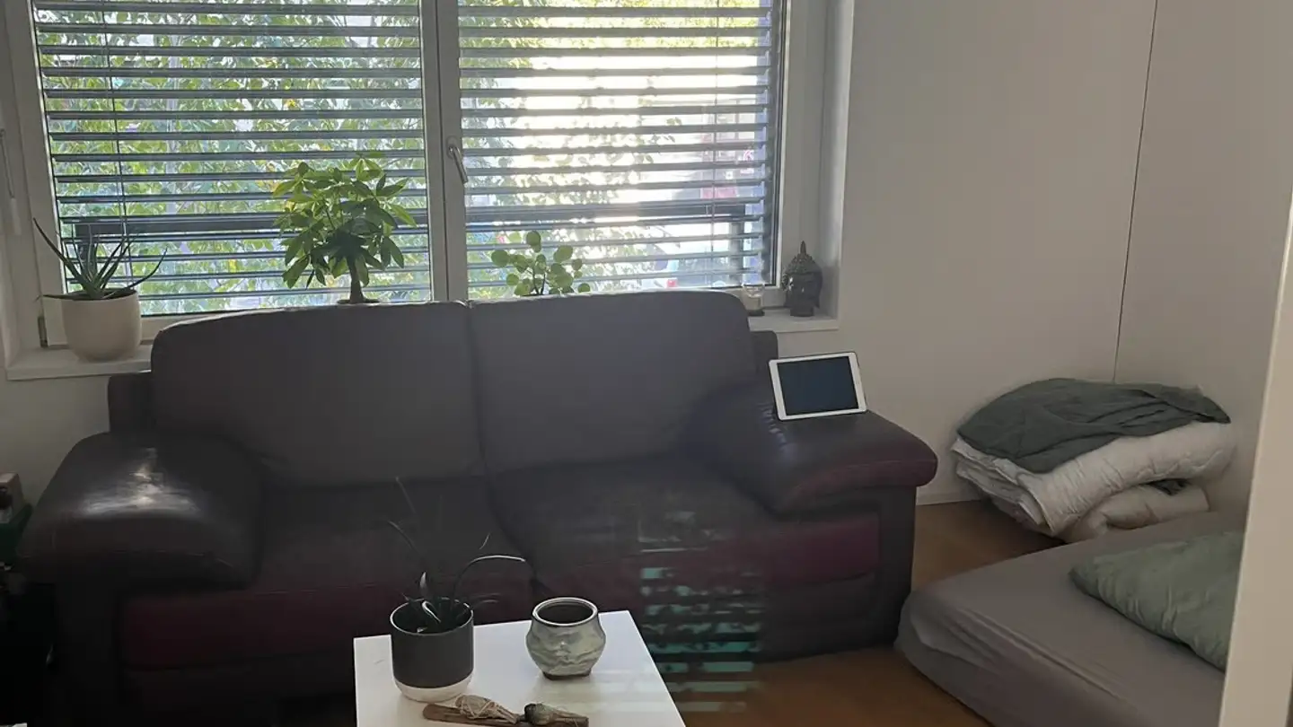 Furnished apartment for rent - 8406 Winterthur