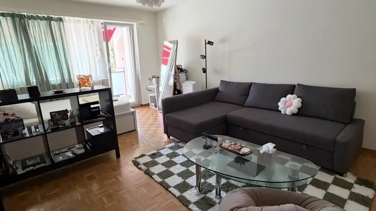 Möblierte Wohnung mieten - 8307 Effretikon