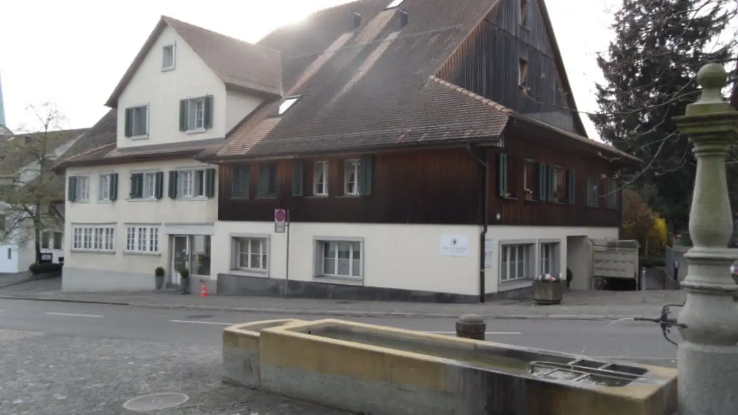 Commercial à louer - Albisriederstrasse 401, 8047 Zürich