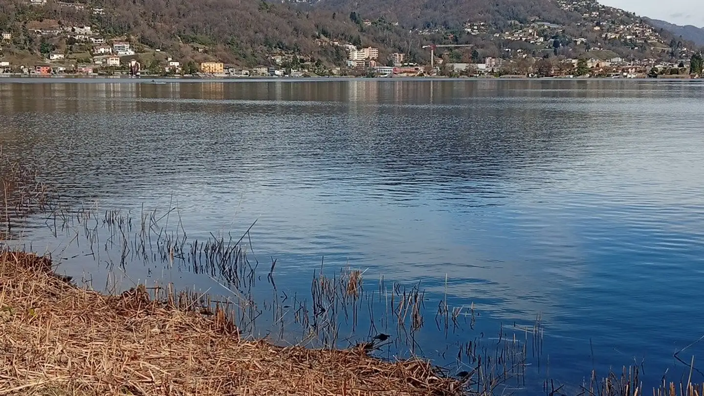 Casa singola in vendita - Vicolo Concordia, 6932 Breganzona - Foto 4