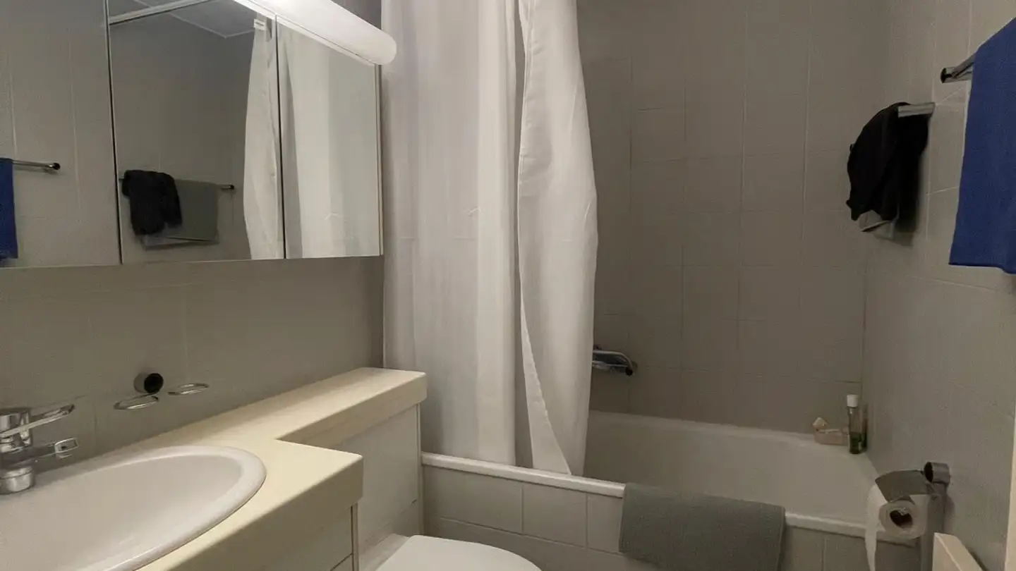 Appartement meublé à louer - Roswiesenstrasse 179, 8051 Zürich - Photo 2