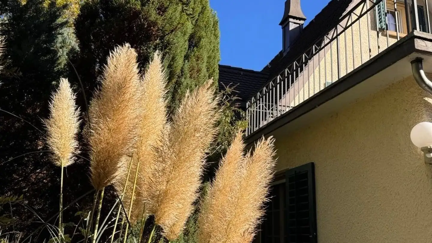 Casa singola in affitto - Leimbachstrasse 88, 8041 Zürich - Foto 3
