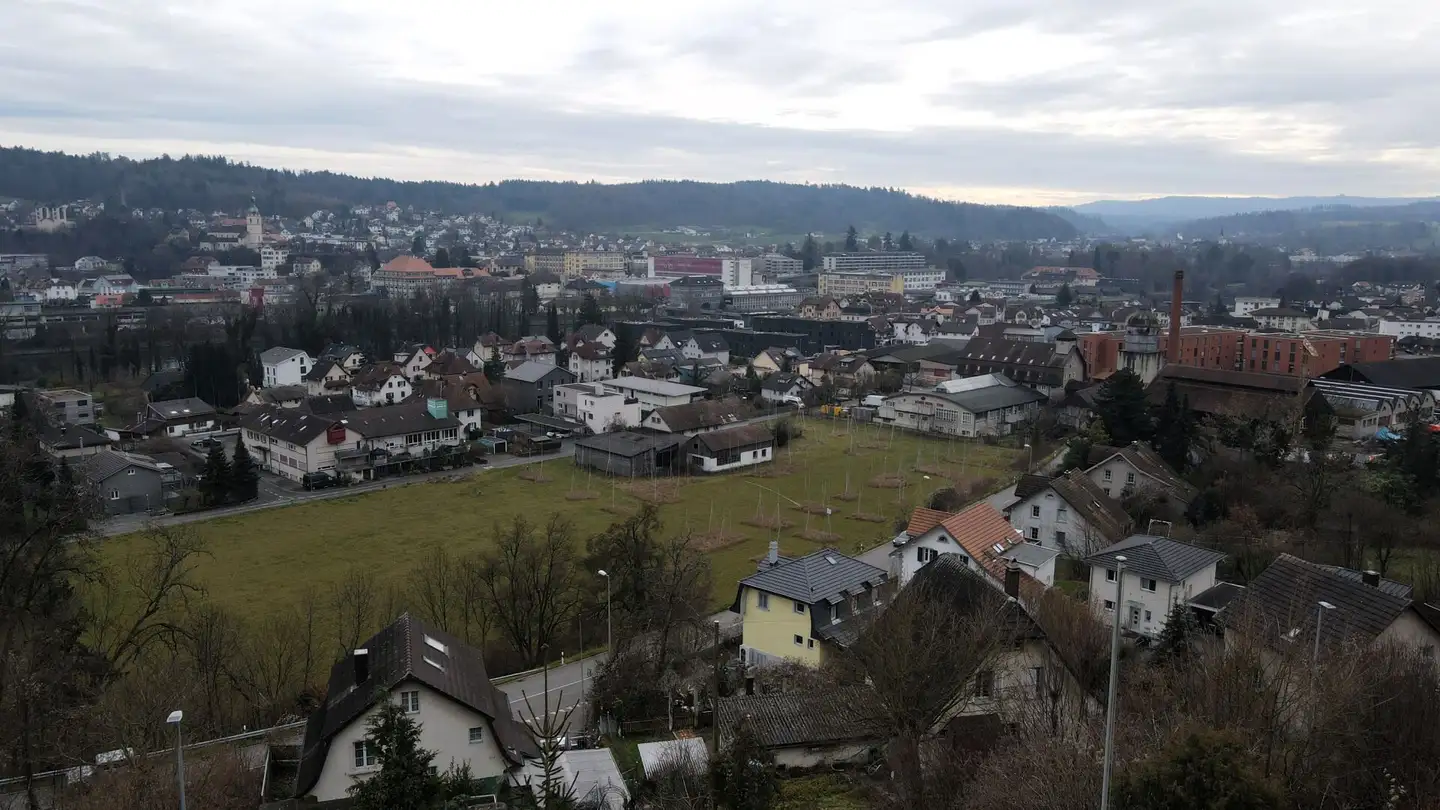 Single house for sale - Rebenstrasse, 5013 Niedergösgen