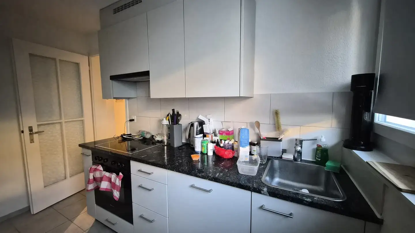 Apartment for rent - Im Fallengatter 7, 8500 Frauenfeld - Photo 4