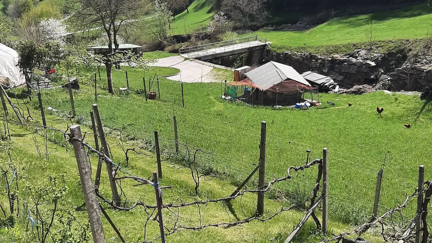 Single house for sale - Via Sassello 17, 6723 Marolta - Photo 4