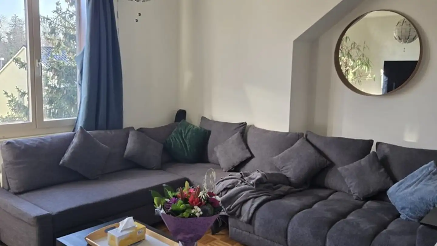 Appartamento in affitto - Lärchengartenstrasse 9, 4127 Birsfelden