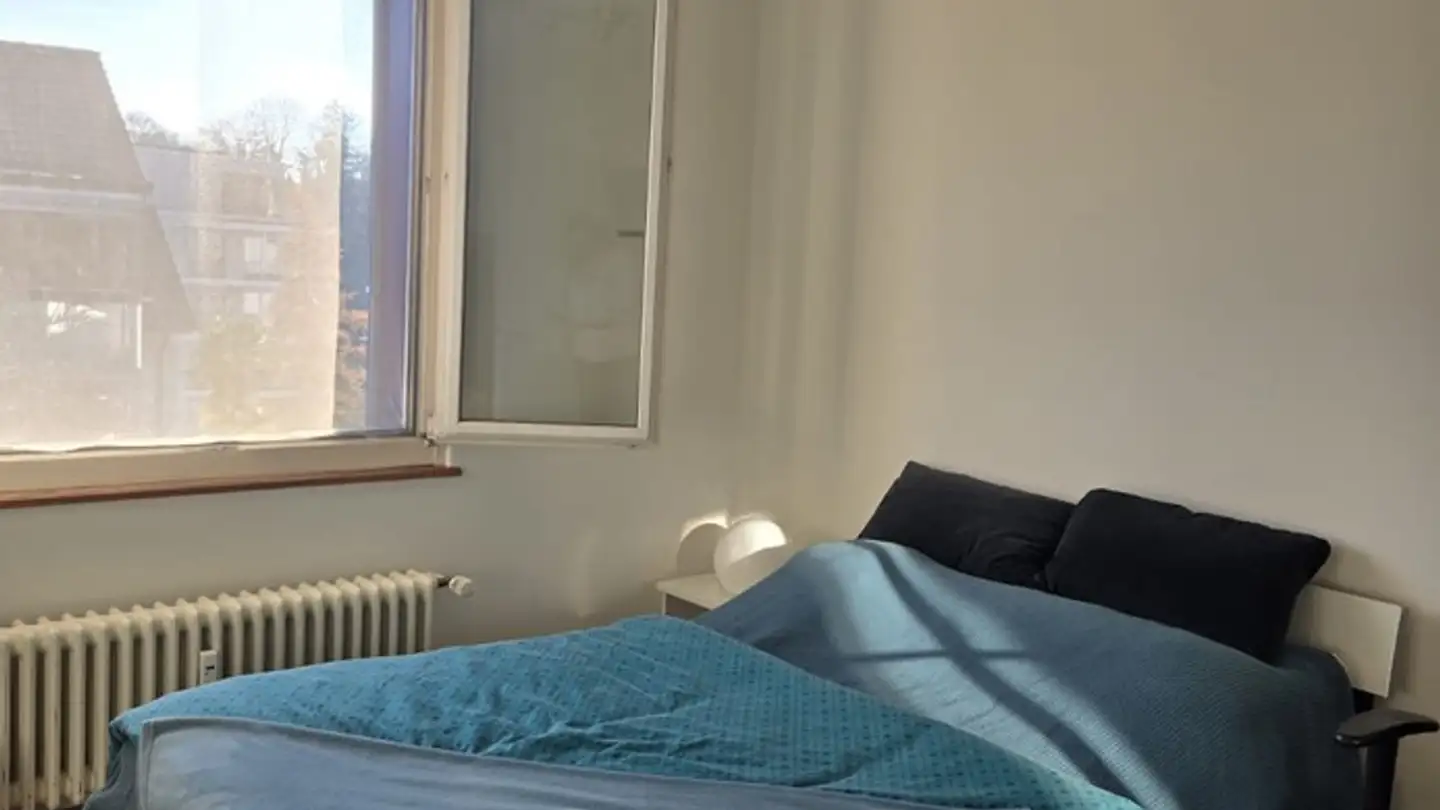 Appartamento in affitto - Lärchengartenstrasse 9, 4127 Birsfelden - Foto 4