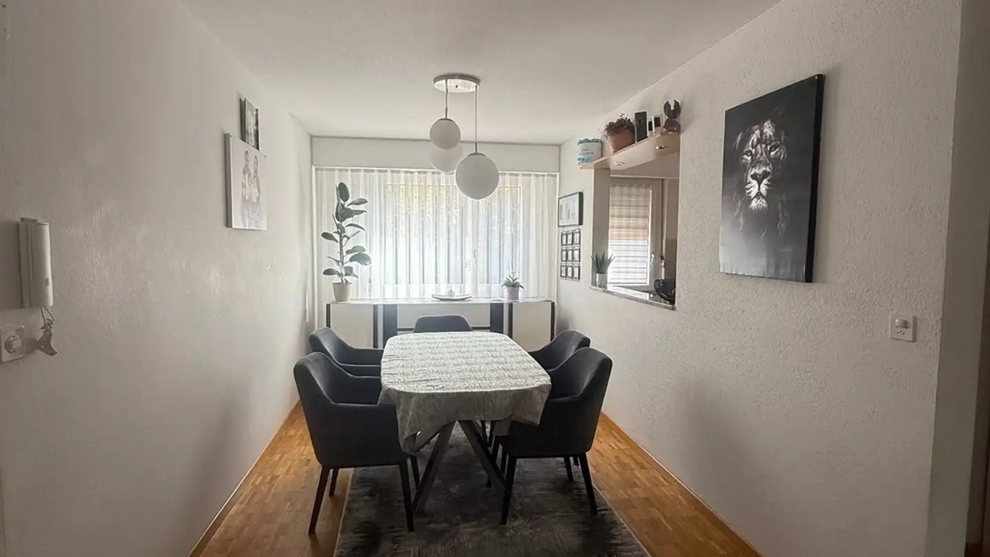 Appartamento in affitto - Rigiweg 5, 8604 Volketswil - Photo 4