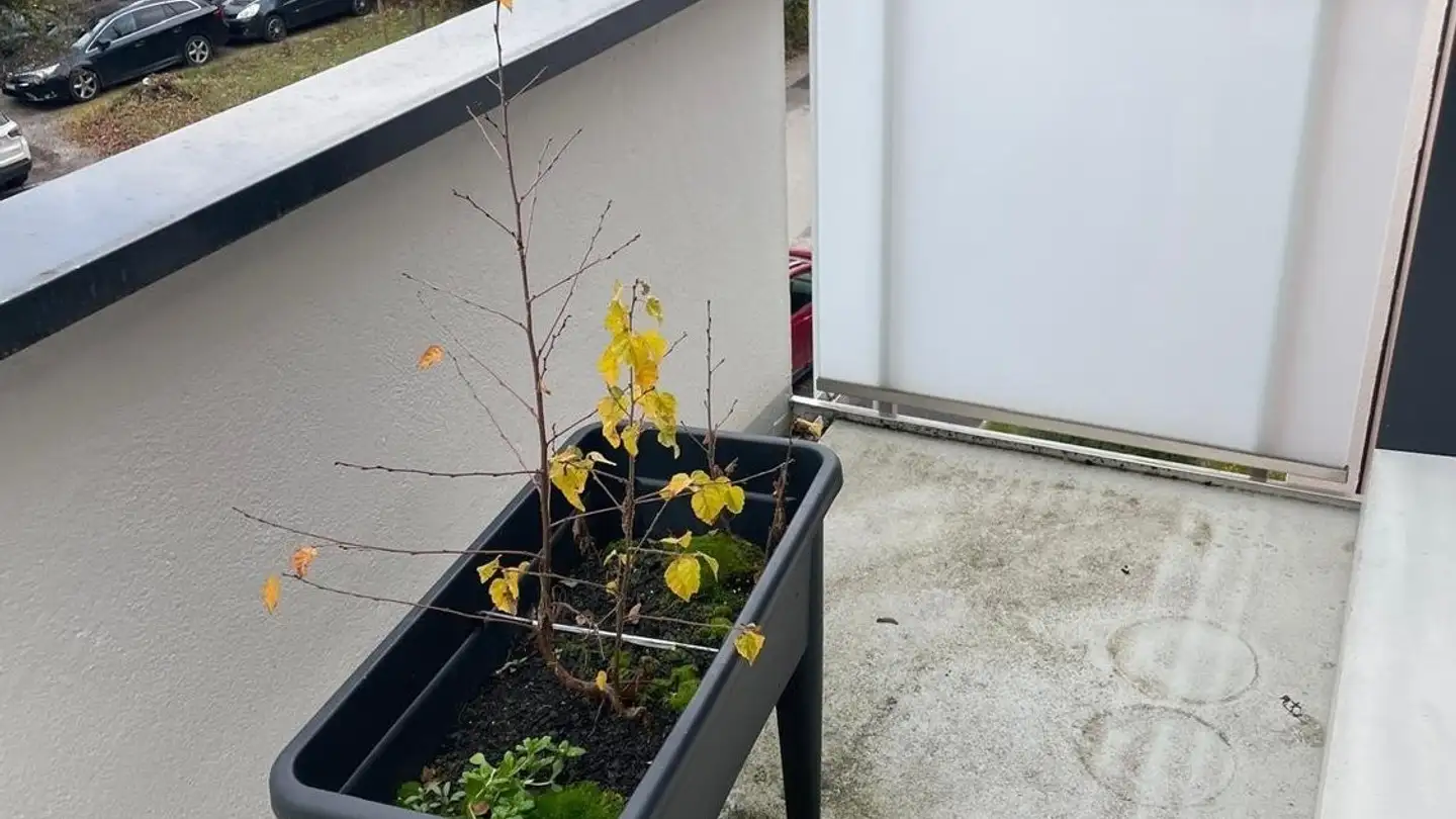 Apartment for rent - Chemin Auguste- Vilbert 64, 1218 Le Grand-Saconnex - Photo 4