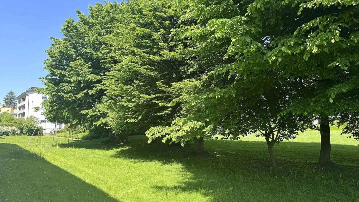 Appartamento in vendita - 6312 Steinhausen - Photo 3