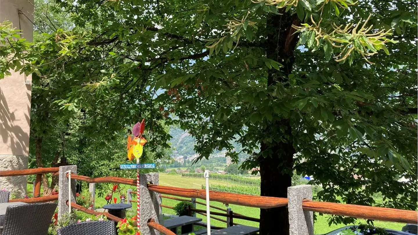 Ristorante in vendita - 6535 Roveredo GR - Photo 4