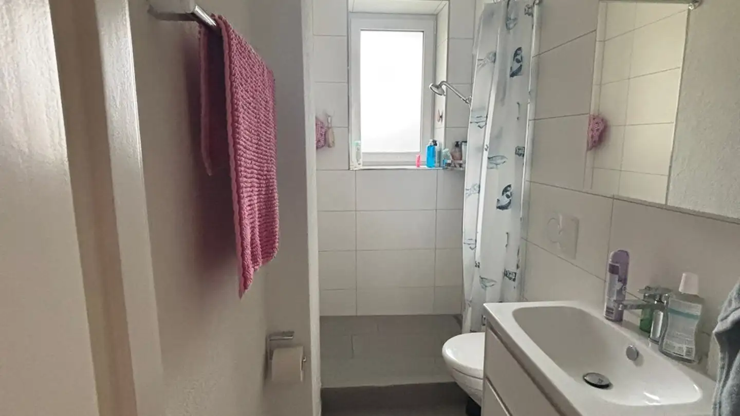 Single room for rent - Dornacherstrasse, 4053 Basel