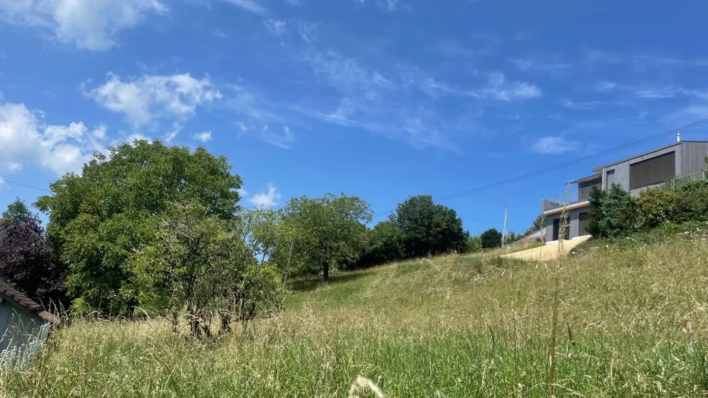 Bauland kaufen - 4254 Liesberg Dorf