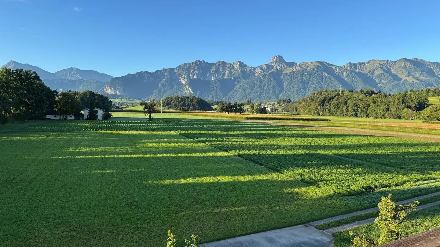Appartement à louer - Birkenweg 17, 3661 Uetendorf