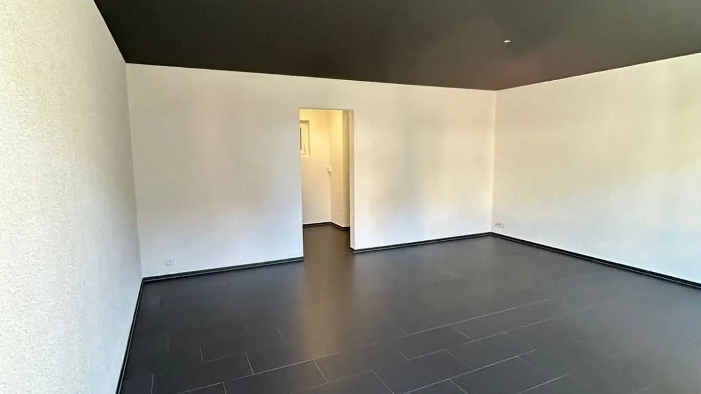 Commercial for rent - Unterdorf 25, 8914 Aeugst am Albis - Photo 3