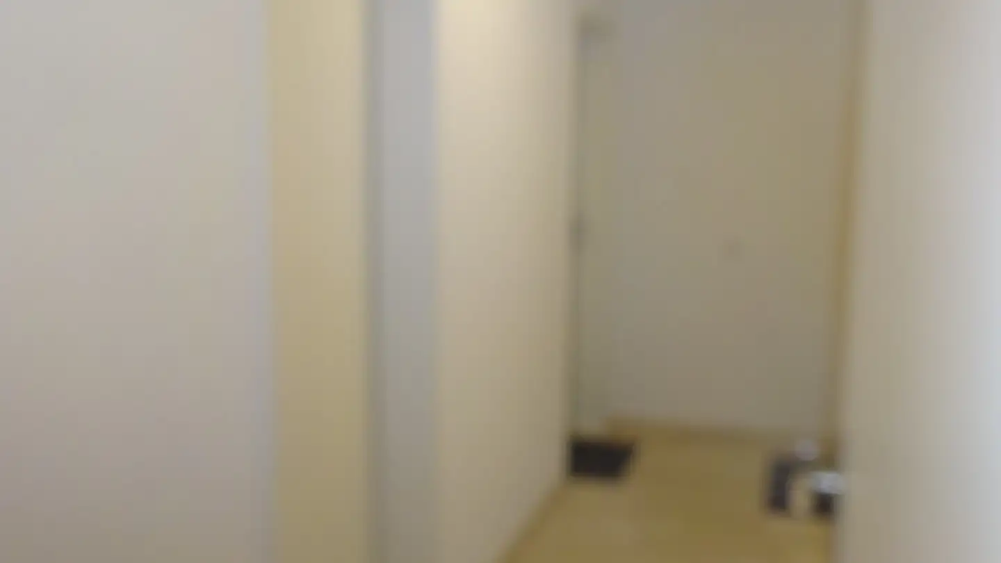 Commerciale in affitto - Oberwilerstrasse 104, 4102 Binningen - Foto 3