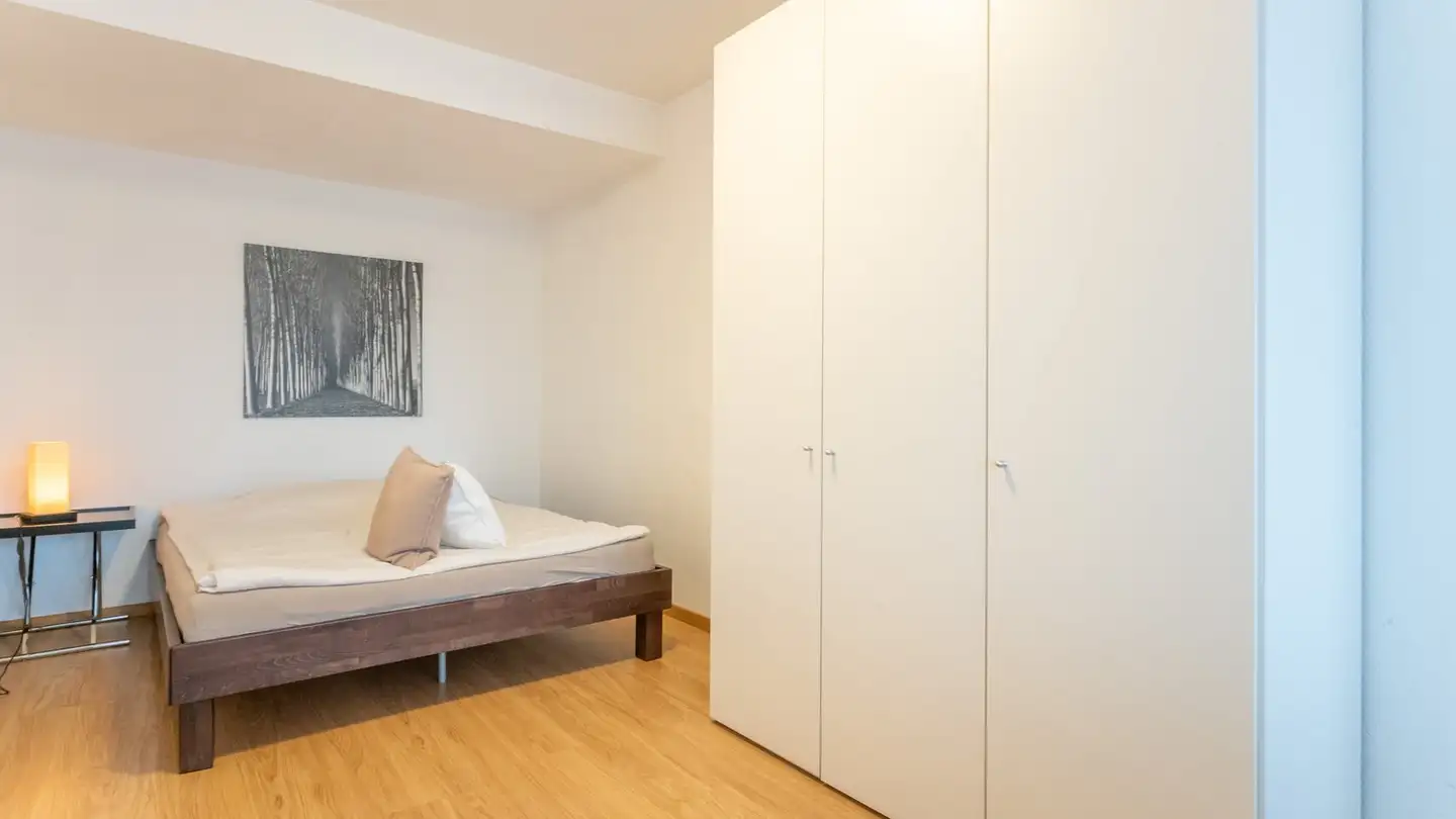 Furnished apartment for rent - Mittlere Strasse, 4056 Basel - Photo 2