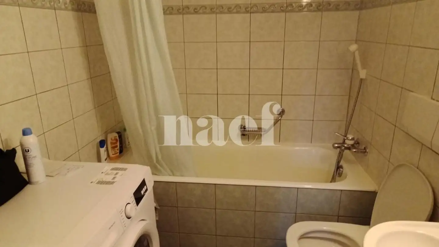 Appartamento in affitto - Rue De La Filature 20, 1227 Carouge GE - Foto 4