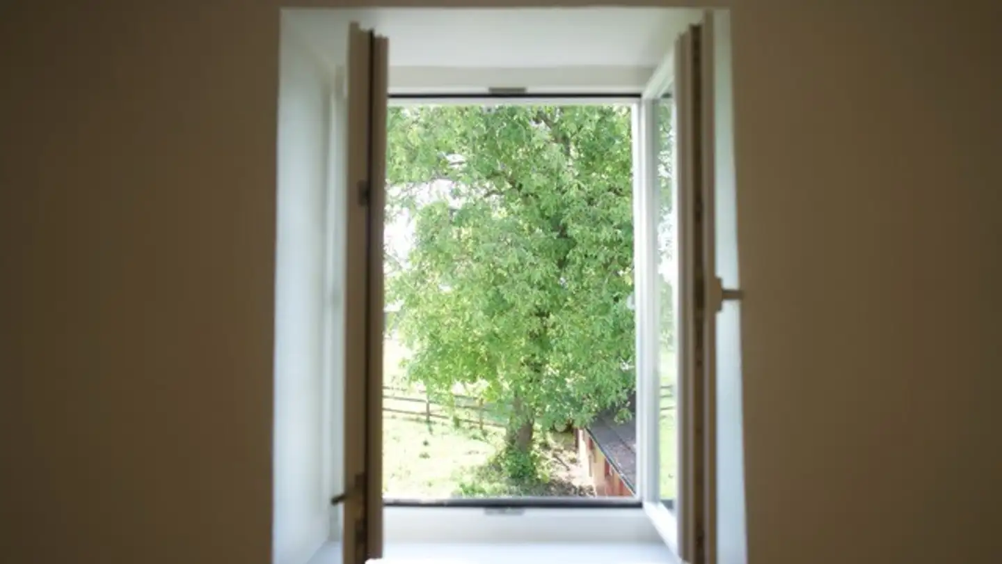Zimmer mieten - 8603 Schwerzenbach - Foto 3