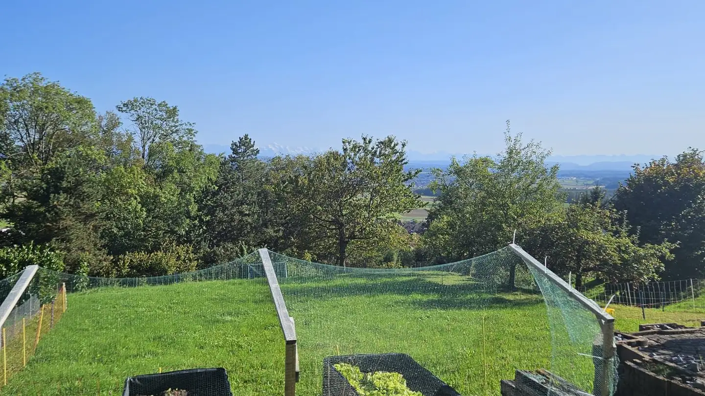 Casa singola in vendita - 4536 Attiswil - Photo 3