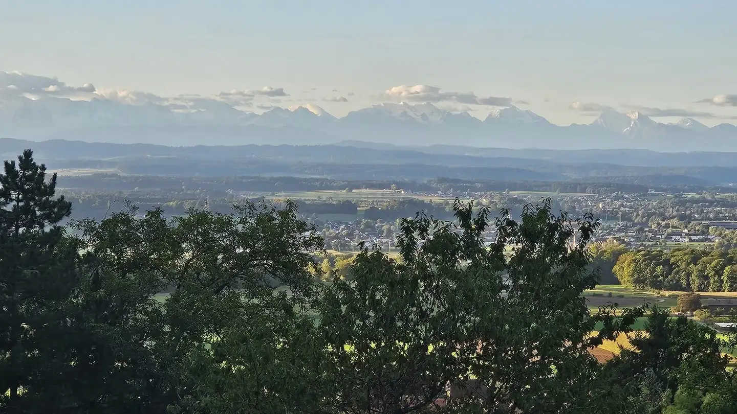 Casa singola in vendita - 4536 Attiswil - Photo 4