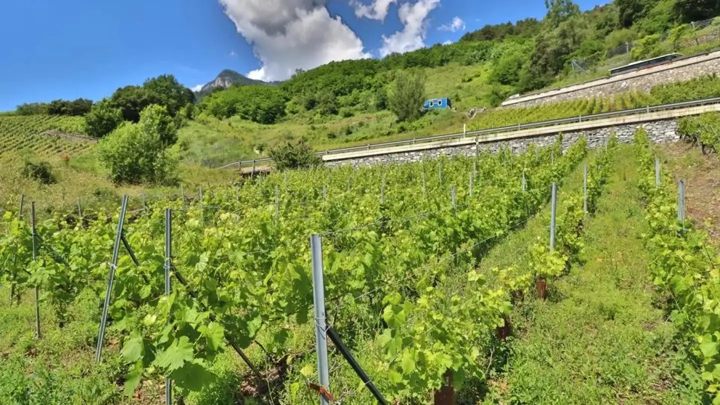 Casa in vendita - 1912 Leytron - Foto 3