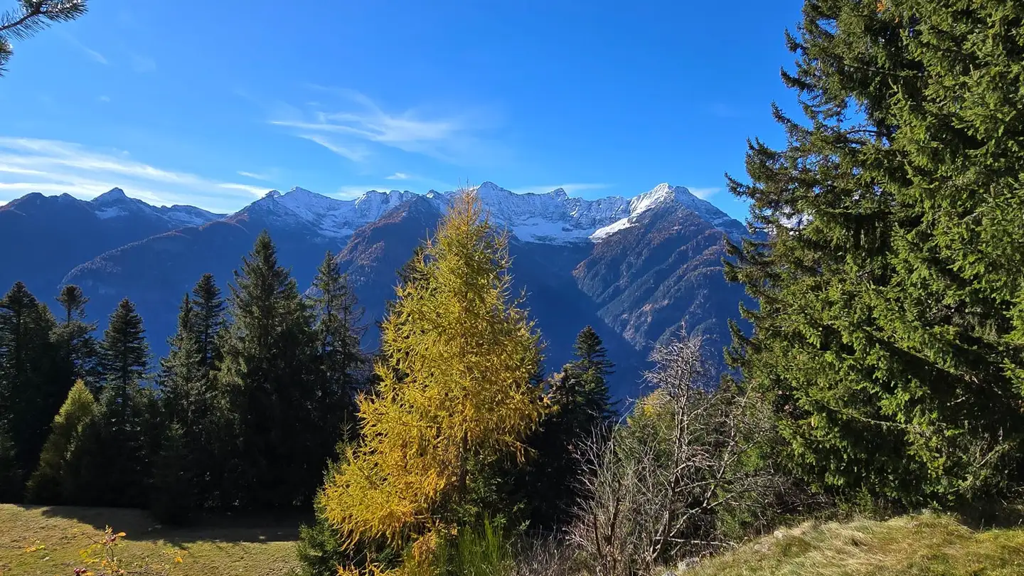 Maison à vendre - Zona Monti, 6749 Cavagnago - Photo 3