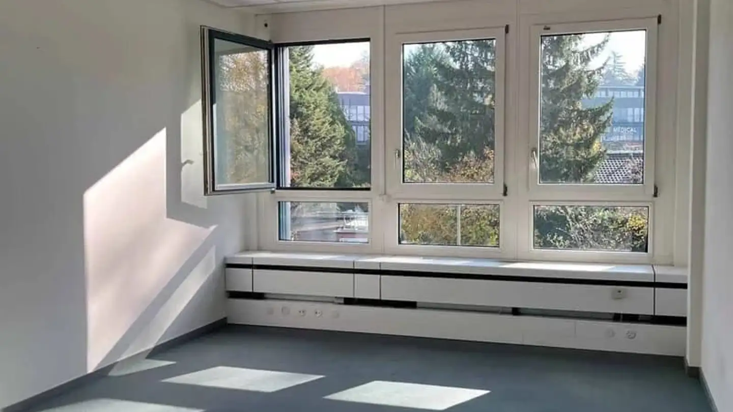 Office space for rent - Impasse Colombelle, 1218 Le Grand-Saconnex - Photo 4