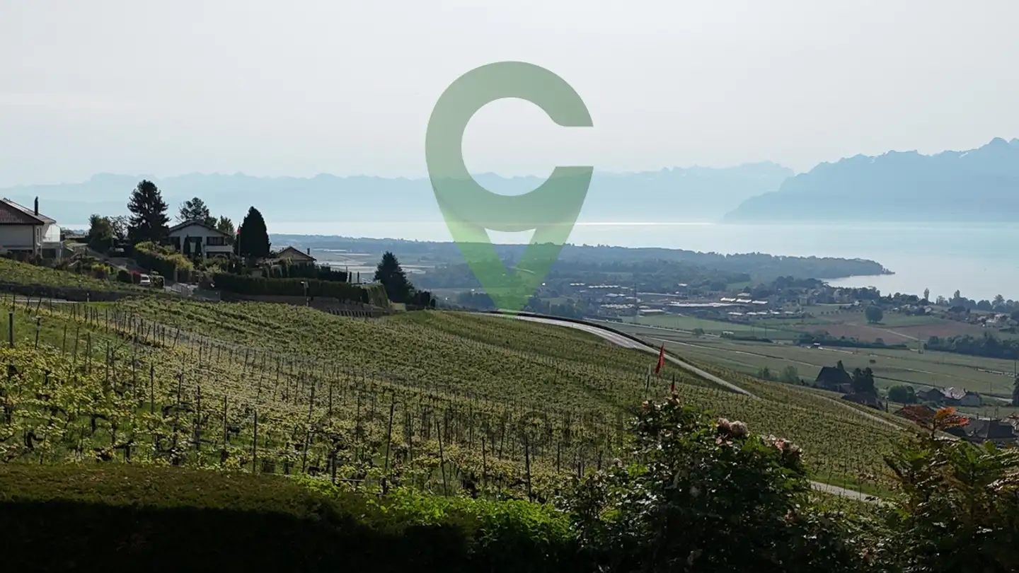 Wohnung kaufen - Chemin Des Romaises 2, 1185 Mont-sur-Rolle