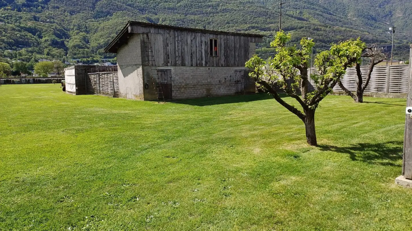Single house for sale - Strada Bosco d'Albor 11, 6512 Giubiasco - Photo 3