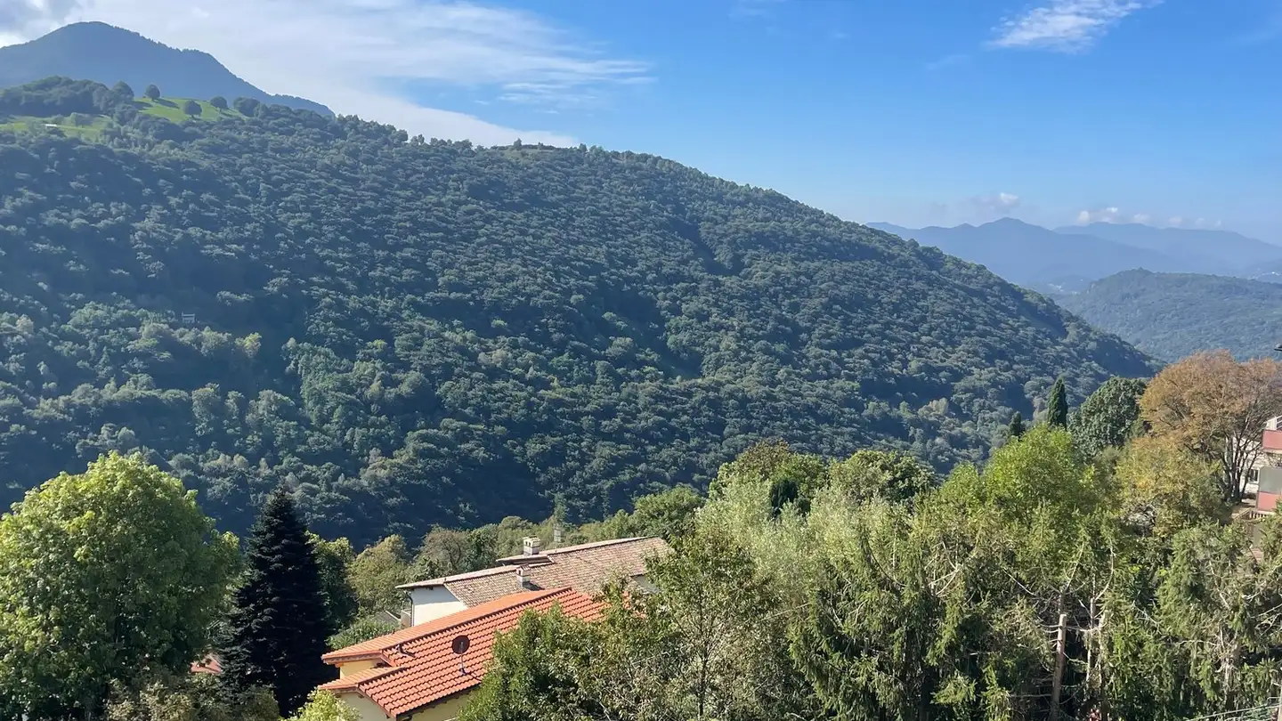 Appartamento in affitto - Bidogno, 6958 Corticiasca - Photo 3