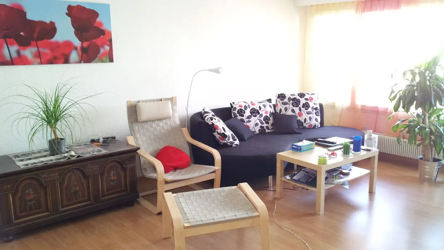 Appartement à louer - Kyburgerstrasse 2, 6210 Sursee - Photo 2